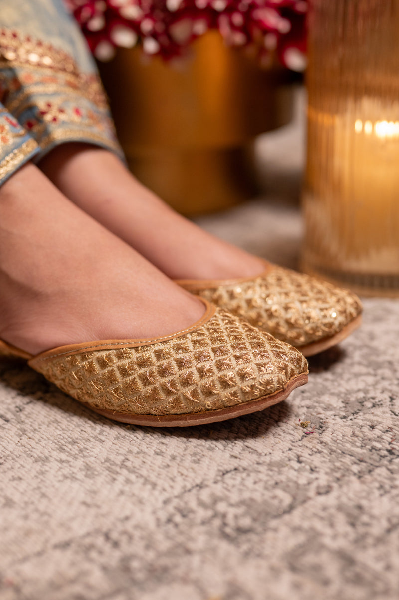 gold zari motifs